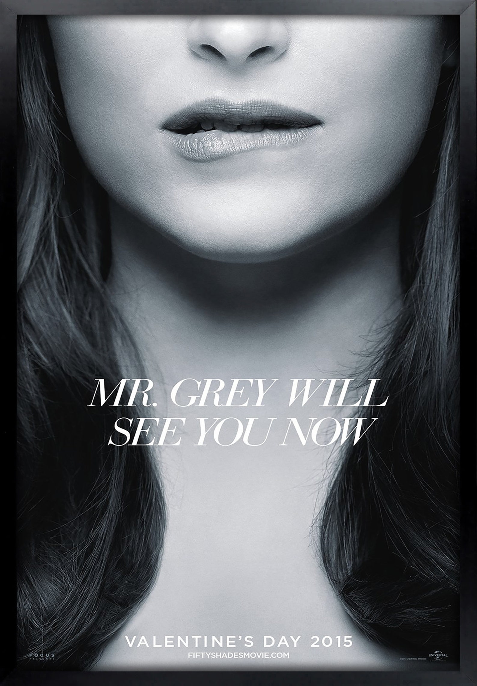 50 серых лиц. 50 серых лиц. анастейша стил и кристиан грей. 50 shades of grey poster. хосе 50 оттенков серого.