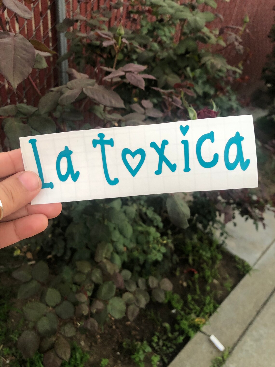 La TOXICA Car Decal Toxica Vinyl Decal Mexican Vinyl Etsy