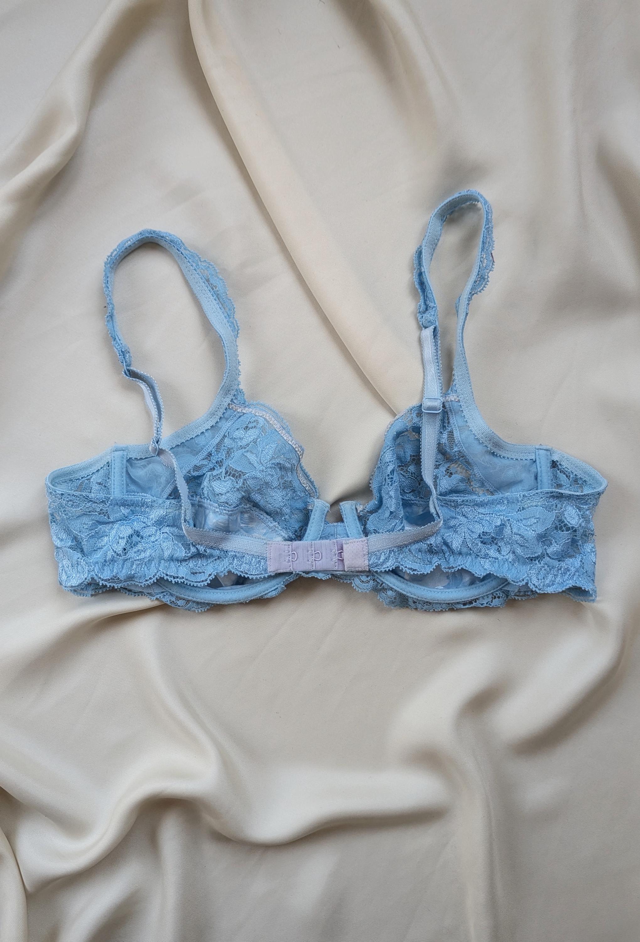 RARE Vintage Lise Charmel 1990 Bra Blue and White Cloud Roses Lace ...