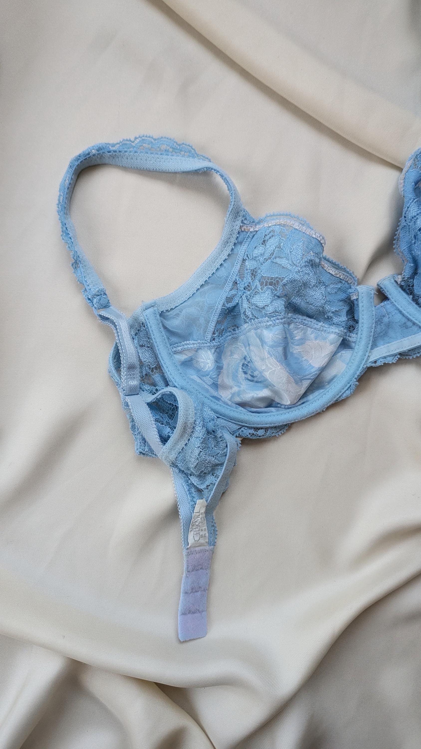 RARE Vintage Lise Charmel 1990 Bra Blue and White Cloud Roses Lace ...