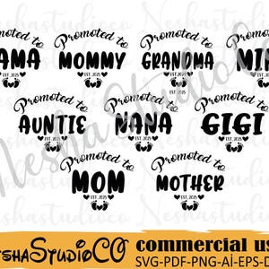 Gepromoveerd tot mama bundel svg, gepromoveerd tot Nana est.2025 svg, mama svg, gigi shirt svg, oma clipart, Nana silhouette quotes svg, Moederdag svg