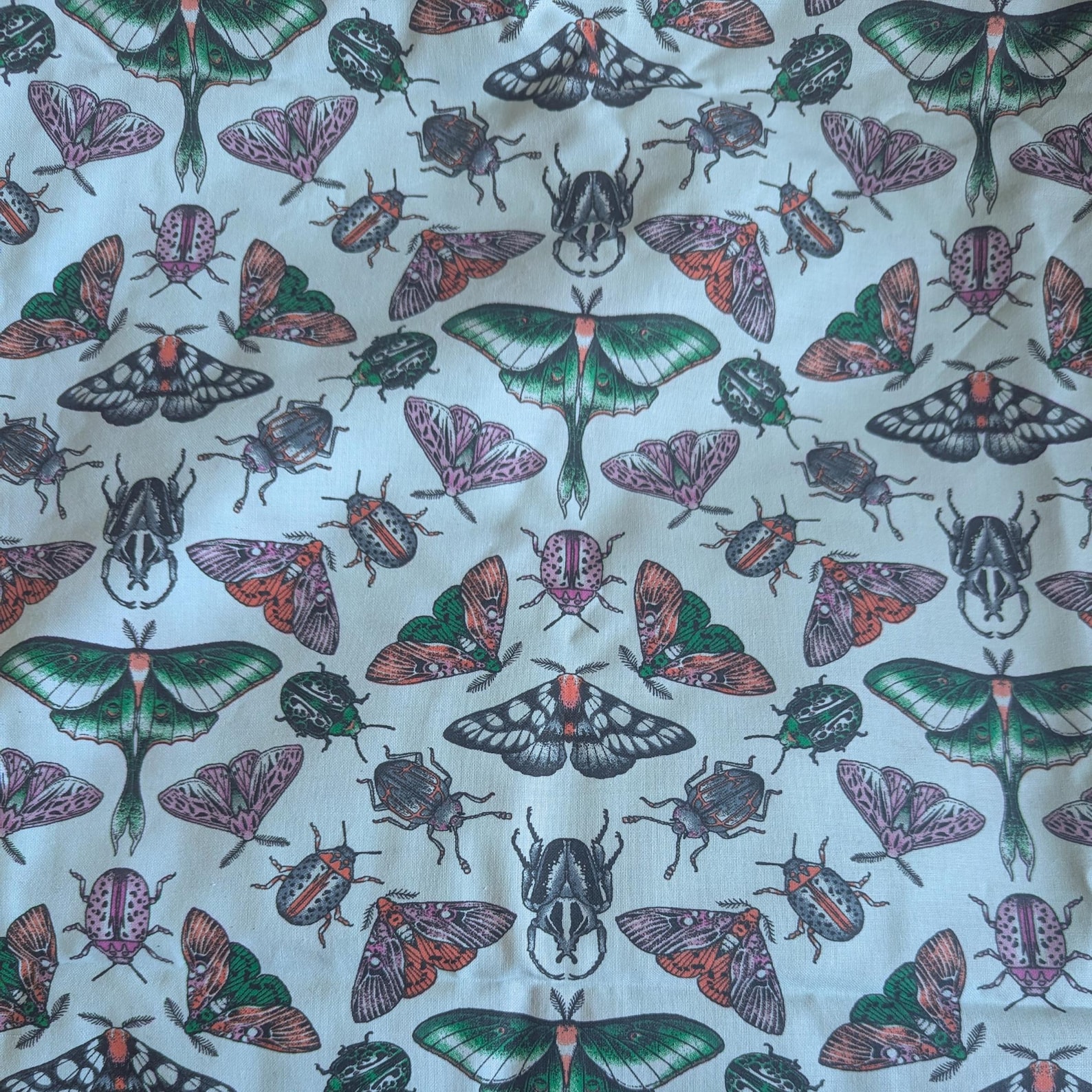 Moth Butterfly bug Entomology Ponytail Scrub Cap Euro No Buttons and Emerald Green Ribbon
