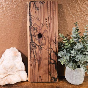 Lichtenberg Fractal Burned Wood Art