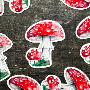 Autocollants champignon vénéneux, lot d'autocollants champignons, unique, lot de 3, champignon vénéneux rouge, autocollant pour téléphone, décor champignon, amateur de champignon vénéneux, cadeau champignon vénéneux
