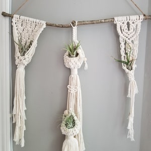 Air Plant Hangers | Macrame | Boho | Handmade | Plant Hanger | Macrame Decor