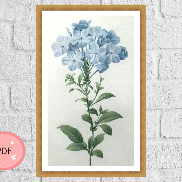 Flower Cross Stitch Pattern , Blue Plumbago , Pierre Joseph Redoute , Pdf Instant Download , Floral Pattern