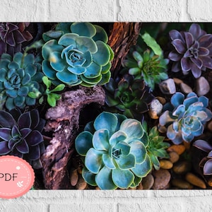 Plant Cross Stitch Pattern ,Succulents In The Forest , Pdf Instant Download