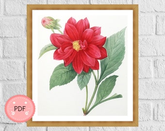 Dahlia Cross Stitch Pattern , Pierre Joseph Redoute , Pdf Instant Download , Floral Pattern