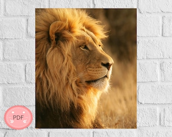 Patrón de punto de cruz de león africano: Diseño de vida silvestre (Descarga PDF)