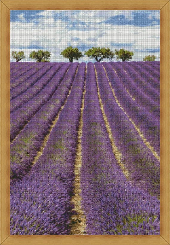 ラベンダー畑の絵 ラベンダー畑 | アートの輪