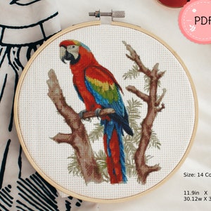macaw cross stitch embroidered mini dress Farm Rio - Macaw Cross Stitch Embroidered Mini Dress-Off White Size S