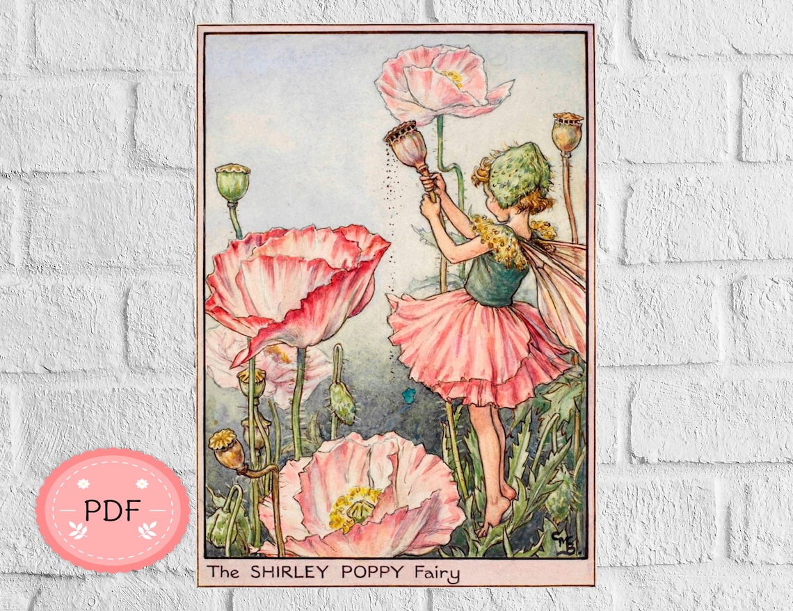 The Shirley Poppy Fairy Cross Stitch Pattern Pdf  Instant image 1