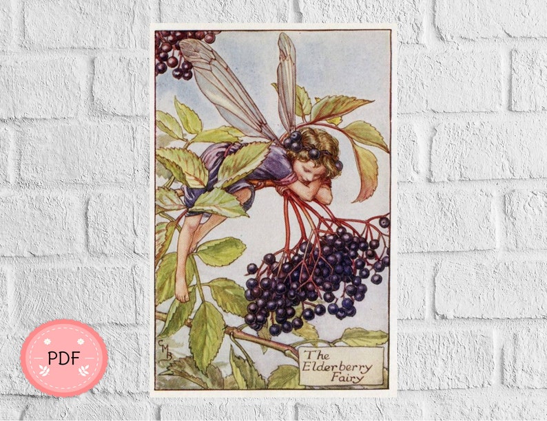 The Elderberry Fairy Cross Stitch Pattern  Pdf  Instant image 1