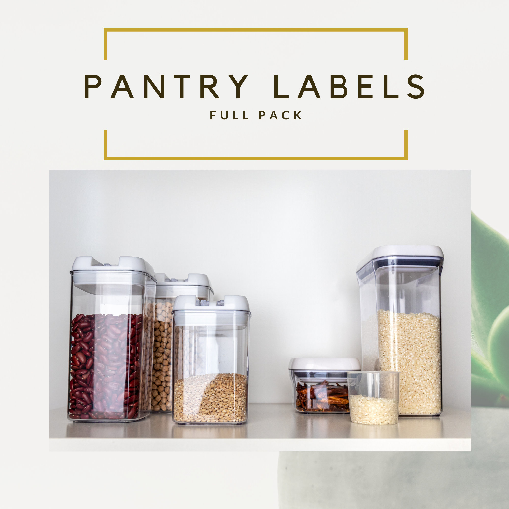 288 Pantry Labels - Full Collection Kitchen Labels