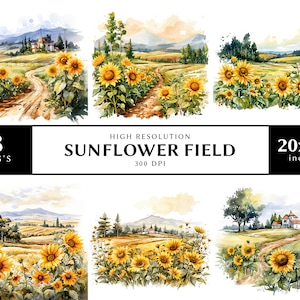 Clipart champ de tournesols aquarelle, 8 fichiers JPG de haute qualité, usage commercial, paysage de tournesol jaune, motifs sublimation aquarelle