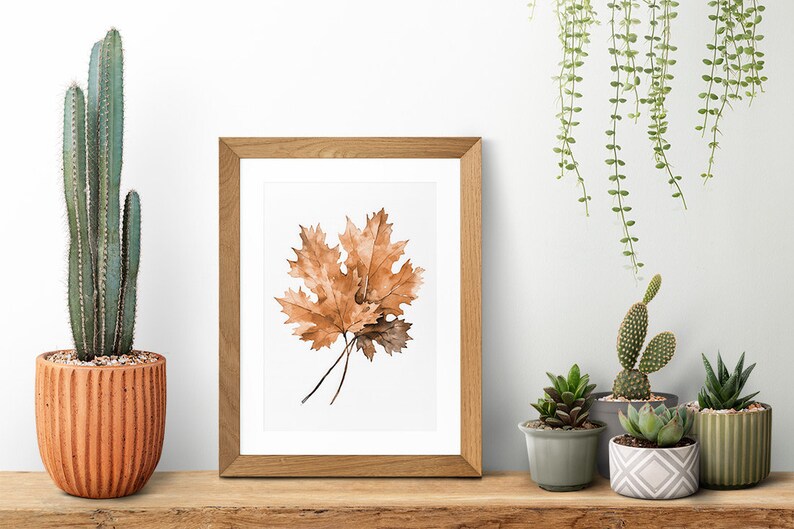May include: A framed watercolour painting of three brown oak leaves on a white background. The frame is made of light brown wood and is sitting on a wooden shelf with a cactus, succulents, and hanging plants in the background.