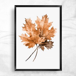 May include: A watercolour painting of two brown maple leaves with a white background. The leaves are in a black frame.