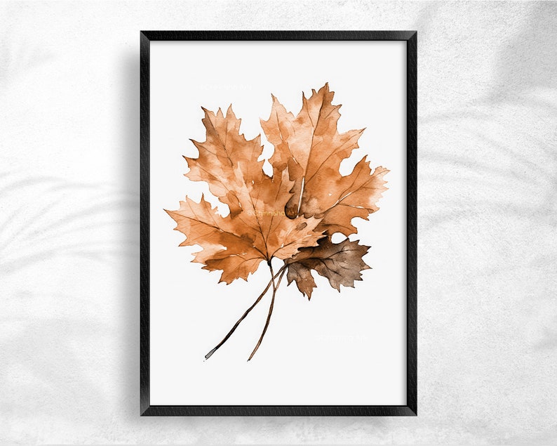 May include: A watercolour painting of two brown maple leaves with a white background. The leaves are in a black frame.