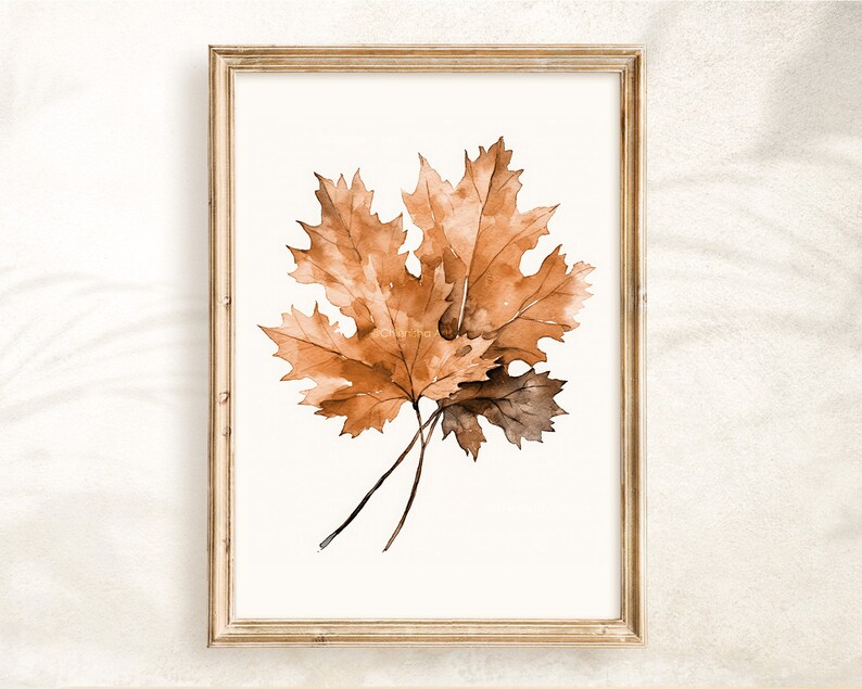May include: A framed watercolour painting of three brown and orange maple leaves on a white background.