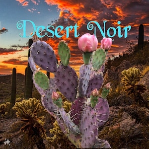 Baby Rita Cactus – Santa Rita Purple Prickly Pear Opuntia Hybrid, Rare Dwarf Cactus, Colorful Cold Hardy Live Plant