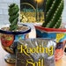 see more listings in the Planter Pots & Supplies section