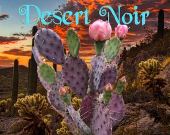 Baby Rita Cactus – Santa Rita Purple Prickly Pear Opuntia Hybrid, Rare Dwarf Cactus, Colorful Cold Hardy Live Plant