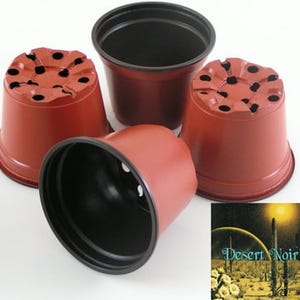 Plastic Grow Pots, Succulent Cactus Planter, 4 or 6 inch