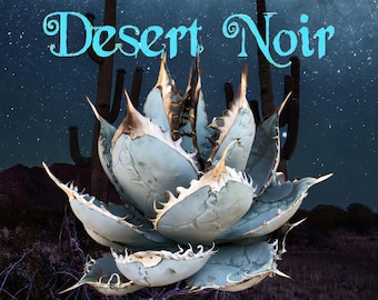 Agave Titanota, Chalk Agave Live Succulent Plant - Etsy
