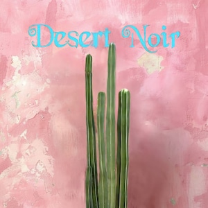 Pachycereus marginatus, Cacto de poste de cerca, Cacto, Suculenta, Planta viva