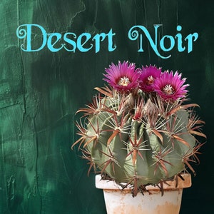 Devils Tongue Barrel Cactus, Ferocactus latispinus, fish hook cactus, barrel cactus, cactus, succulent, live plant image 1