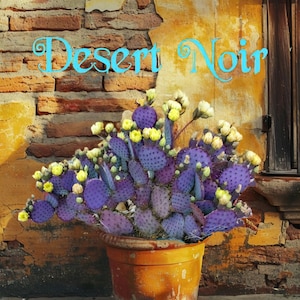 Santa Rita Purple Prickly Pear (Opuntia violacea), Prickly Pear, live plant, cactus, succulent