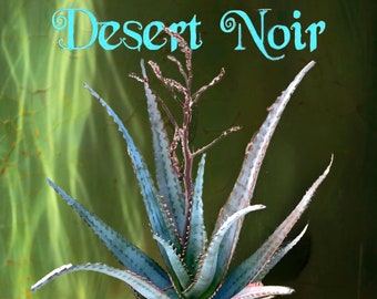 Aloe divaricata, Aloe Diablo, Devils aloe, succulent, cactus, live plant