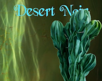 Crested Blue Candle, myrtillocactus geometrizans cristata, Crested Blue Flame, Crested Blue Myrtle, Live plant, cactus, succulent