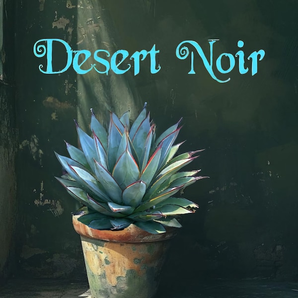 Blue Glow Agave, A. attenuata x A. ocahui, Agave, cactus, succulent, live plant