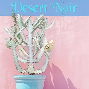 Euphorbia White Ghost – Euphorbia Lactea Live Succulent Cactus, Dragon Bones Tree, Grey Ghost, Candelabra Spurge Plant