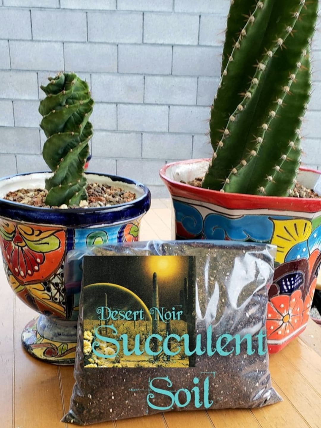 Desert Noir Succulent Soil, Well Draining Cactus Potting Mix - Etsy