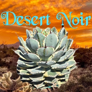 May include: A close-up of a large, green and white agave plant with sharp, pointed leaves. The plant is in the foreground of the image, with a desert landscape and a sunset sky in the background. The text "Desert Noir" is superimposed over the sky.