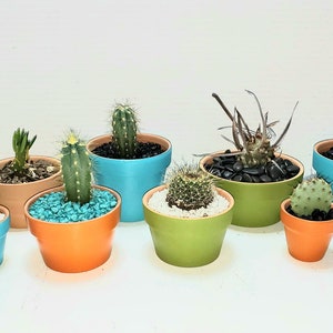 Hand Painted Terra Cotta Planter Pot, Bright Colors, Succulent, Cactus
