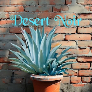 Blue Agave, Agave Tequilana, Agave Azul, Live Plant, Agave, Succulent, Cactus image 3