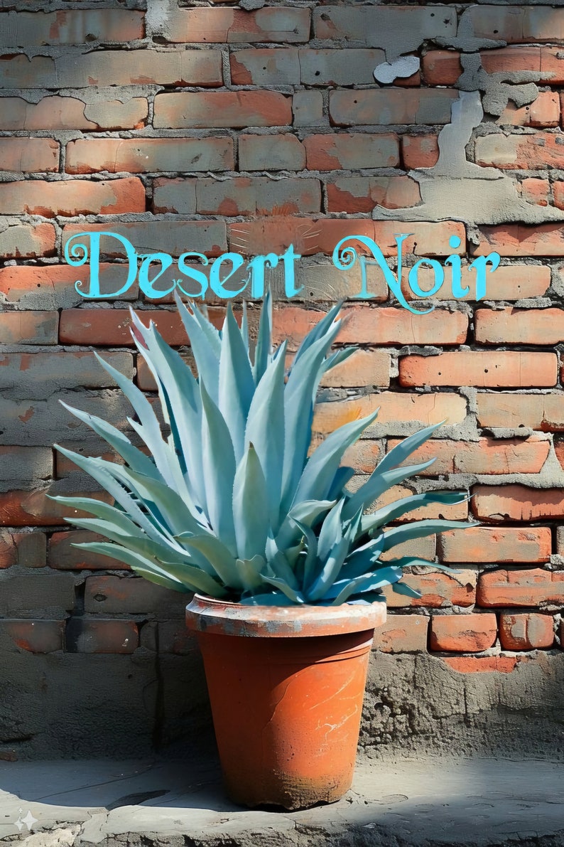 Blue Agave, Agave Tequilana, Agave Azul, Live Plant, Agave, Succulent, Cactus image 3