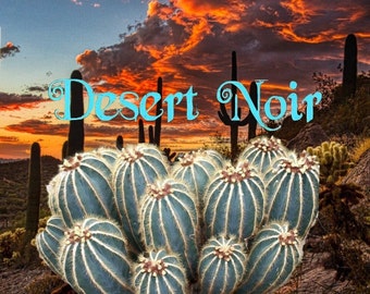Balloon Cactus, Magnificus, Parodia magnifica, Cactus, Succulent, live plant