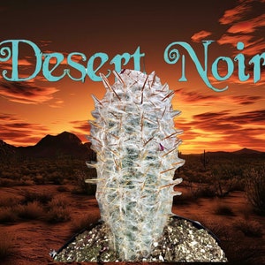 Old Man Of The Andes Cactus, Oreocereus celsianus, Espostoa Melanostele,  Live cactus, succulent