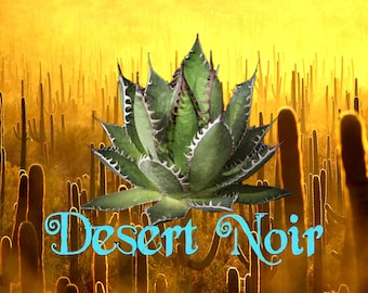 Agave horrida, Mexcalmetl, Agave, Cactus, Live plant