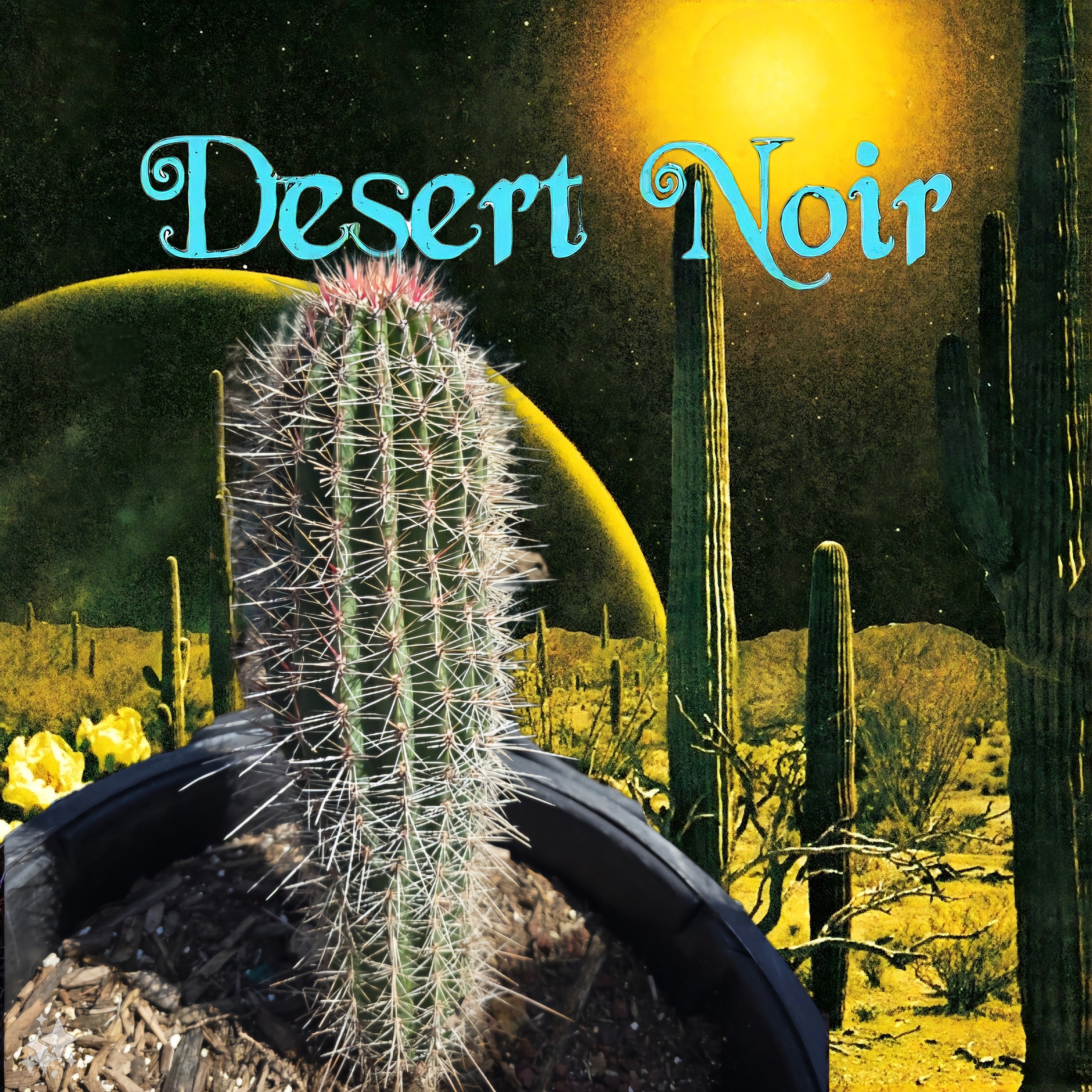 Seller Saguaro Cactus Seeds (Carnegiea Gigantea) - 25+ Seeds, USA Grown,  Easy To Grow Cactus Seeds USA