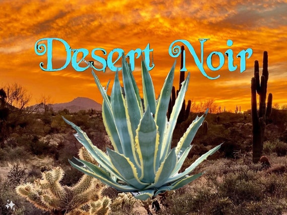 Agave Americana, Marginata, Variegated, Century Plant, Agave