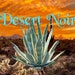 see more listings in the Agaves & Aloes section