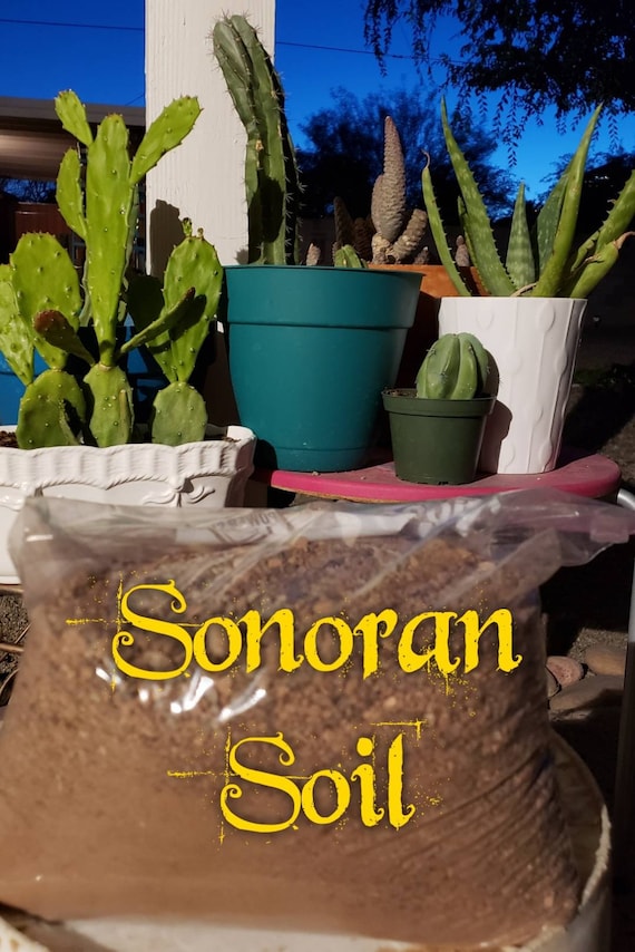 Tierra orgnica para cactus del desierto de Sonora, mezcla para suculentas  - Etsy Mxico