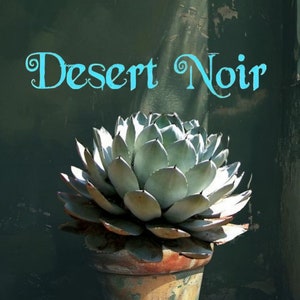 Artichoke Agave, Agave parryi var. truncata, Agave, cactus, succulent, live plant