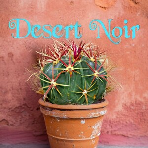 Devils Tongue Barrel Cactus, Ferocactus latispinus, fish hook cactus, barrel cactus, cactus, succulent, live plant image 7