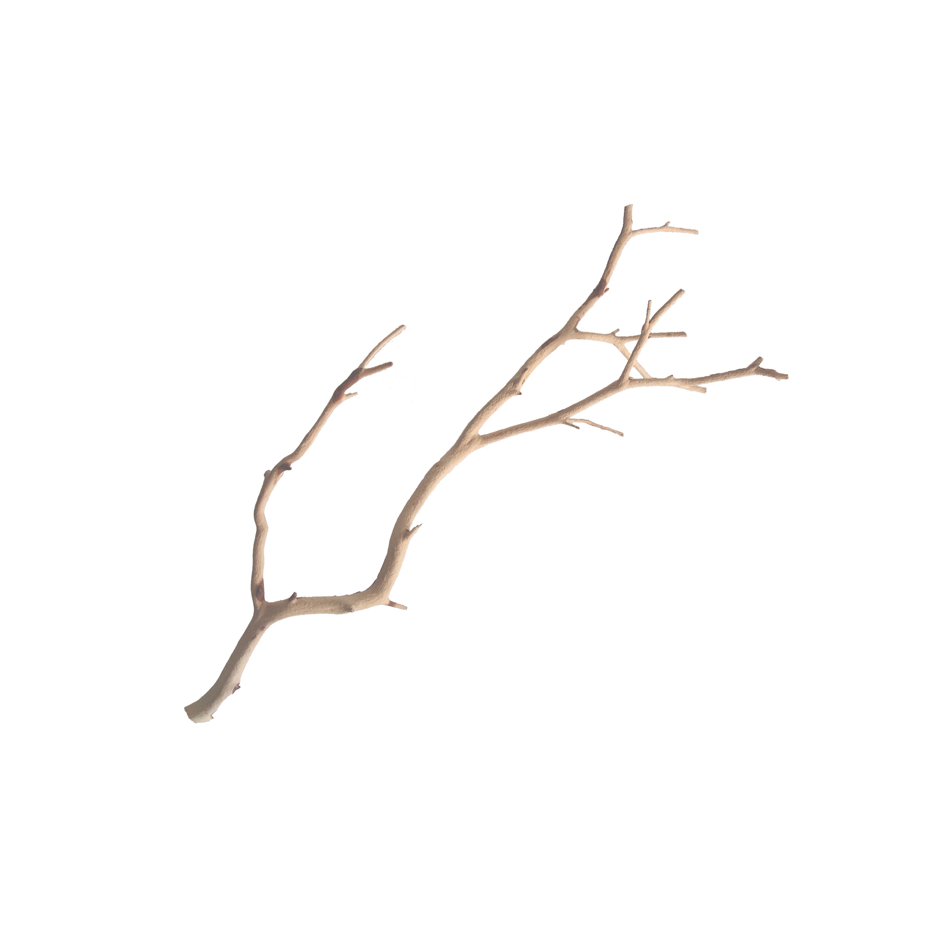 Manzanita Branches From Real Manzanita, Natural Branch Sandblasted